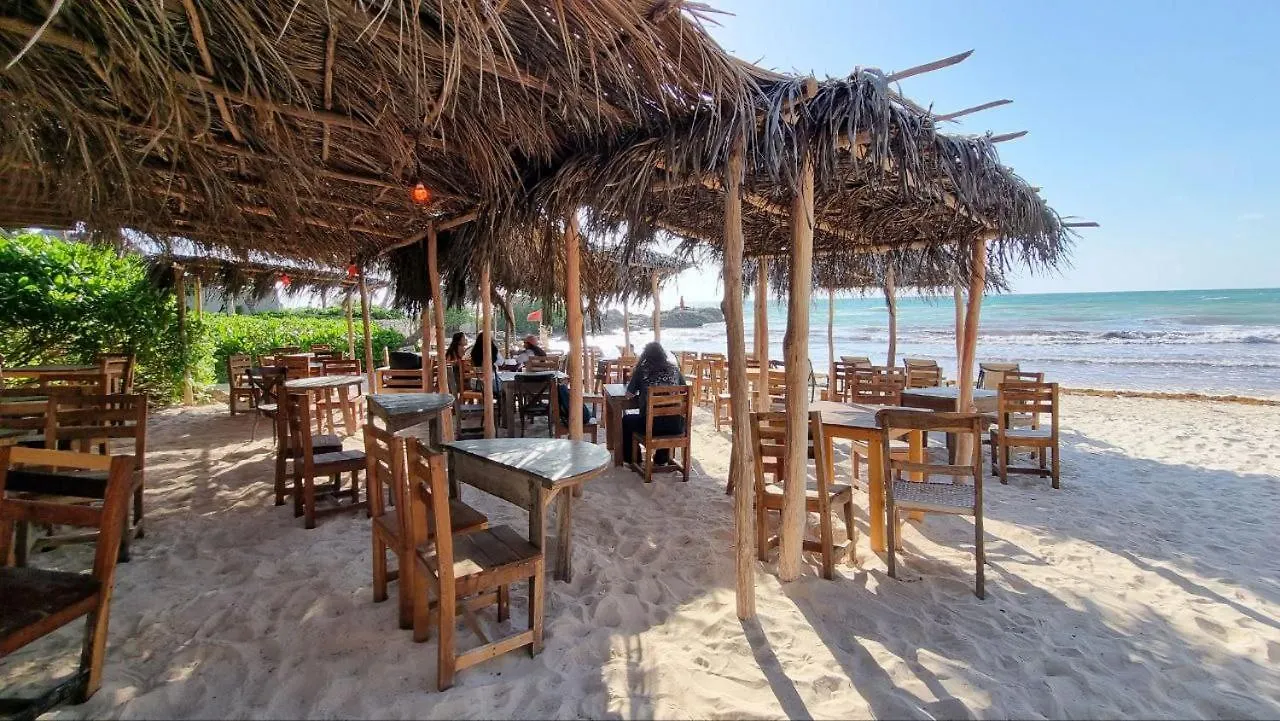 Hippie Chit Jungle House Hotel Tulum