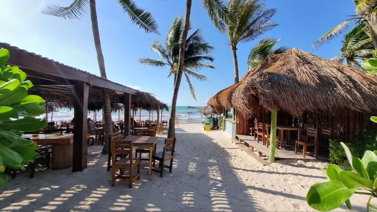 **** Hotel Hippie Chit Jungle House México