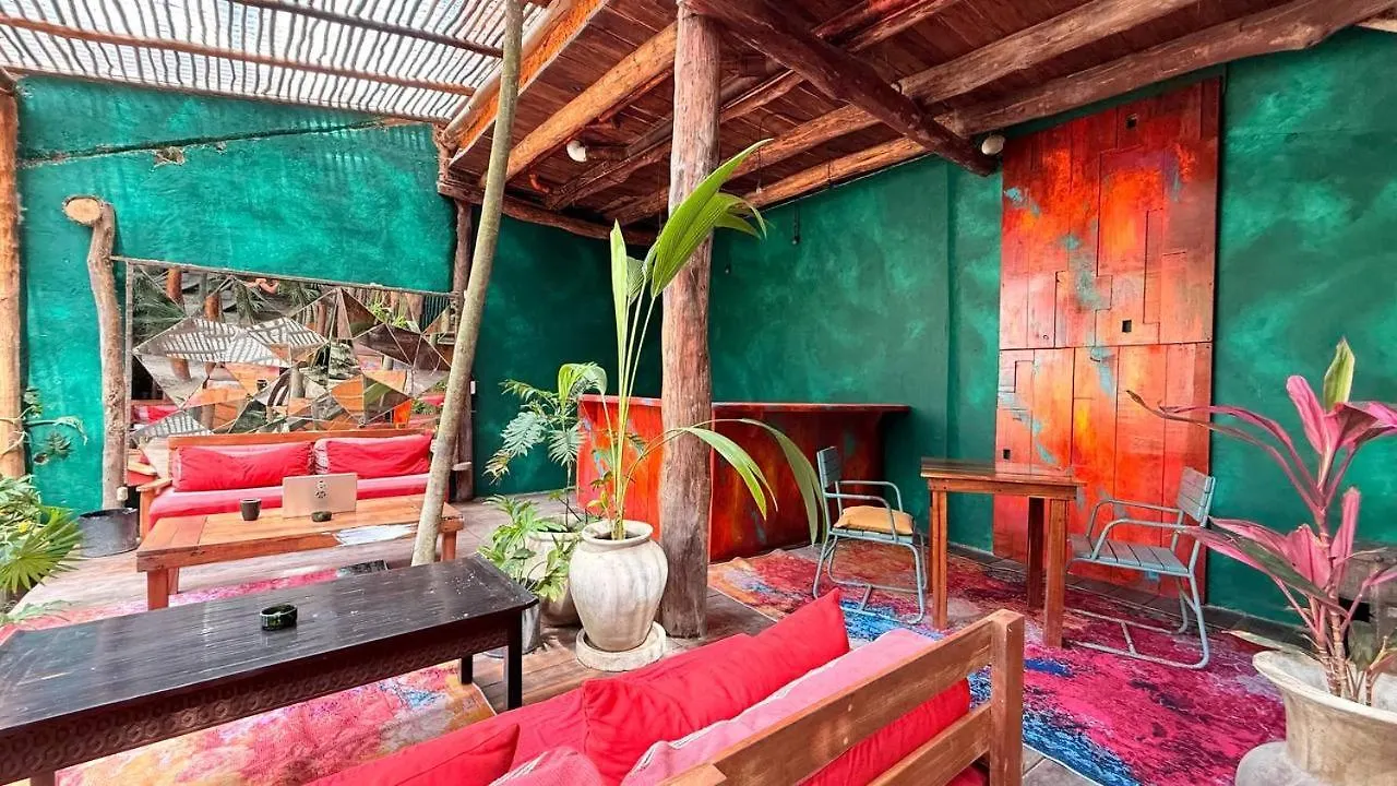 Hippie Chit Jungle House