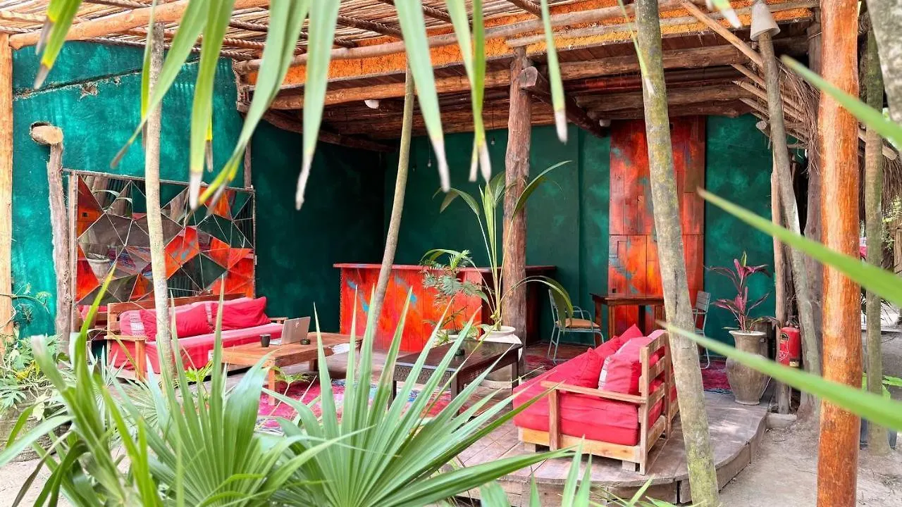 Hotel Hippie Chit Jungle House