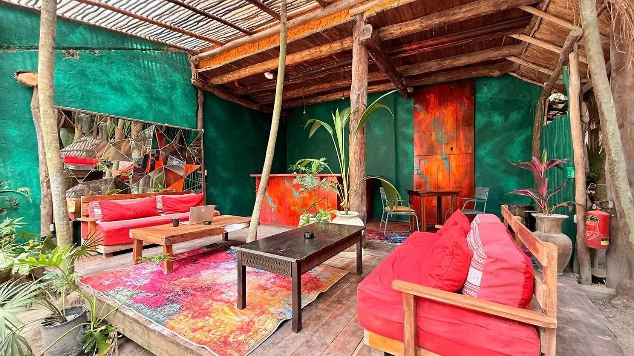 Hippie Chit Jungle House México