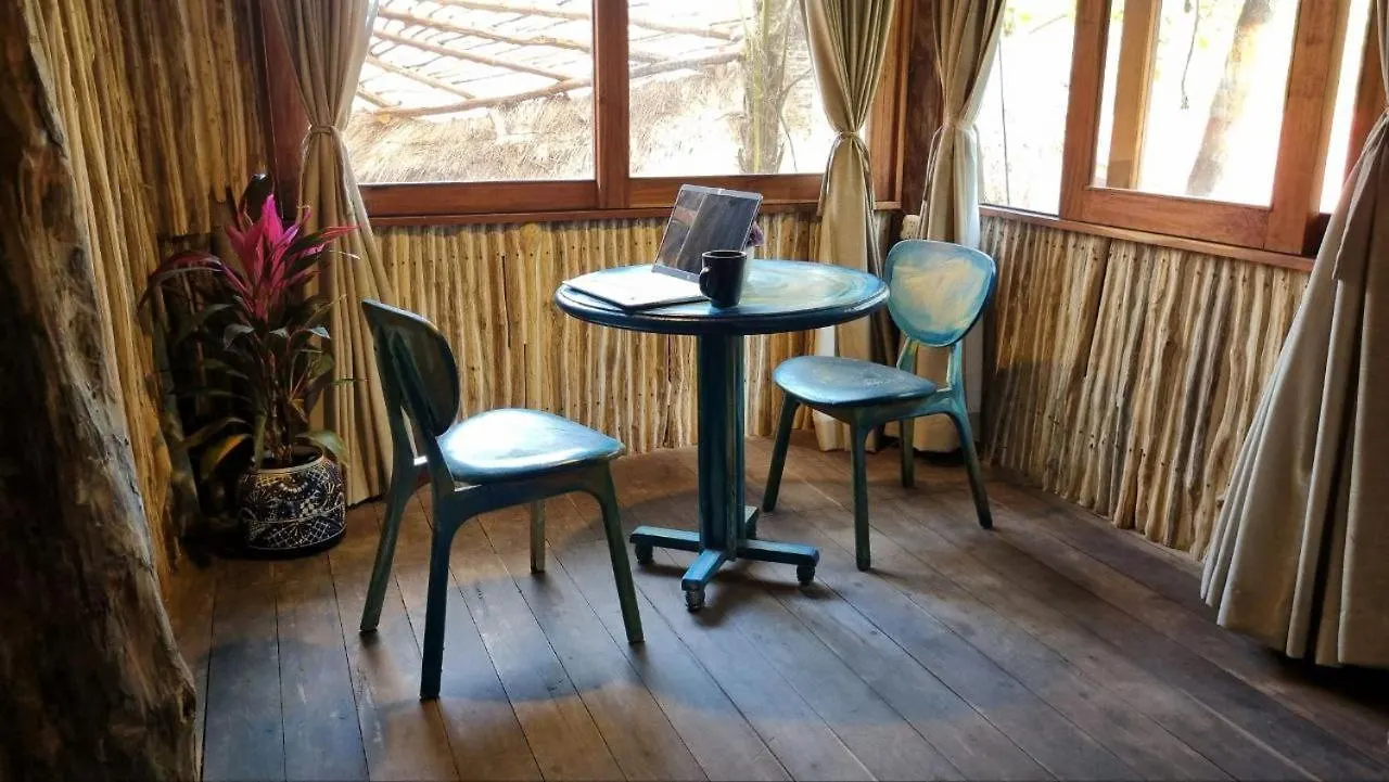 Hippie Chit Jungle House Мексика