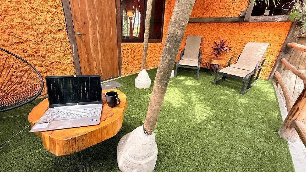 Hippie Chit Jungle House Мексика