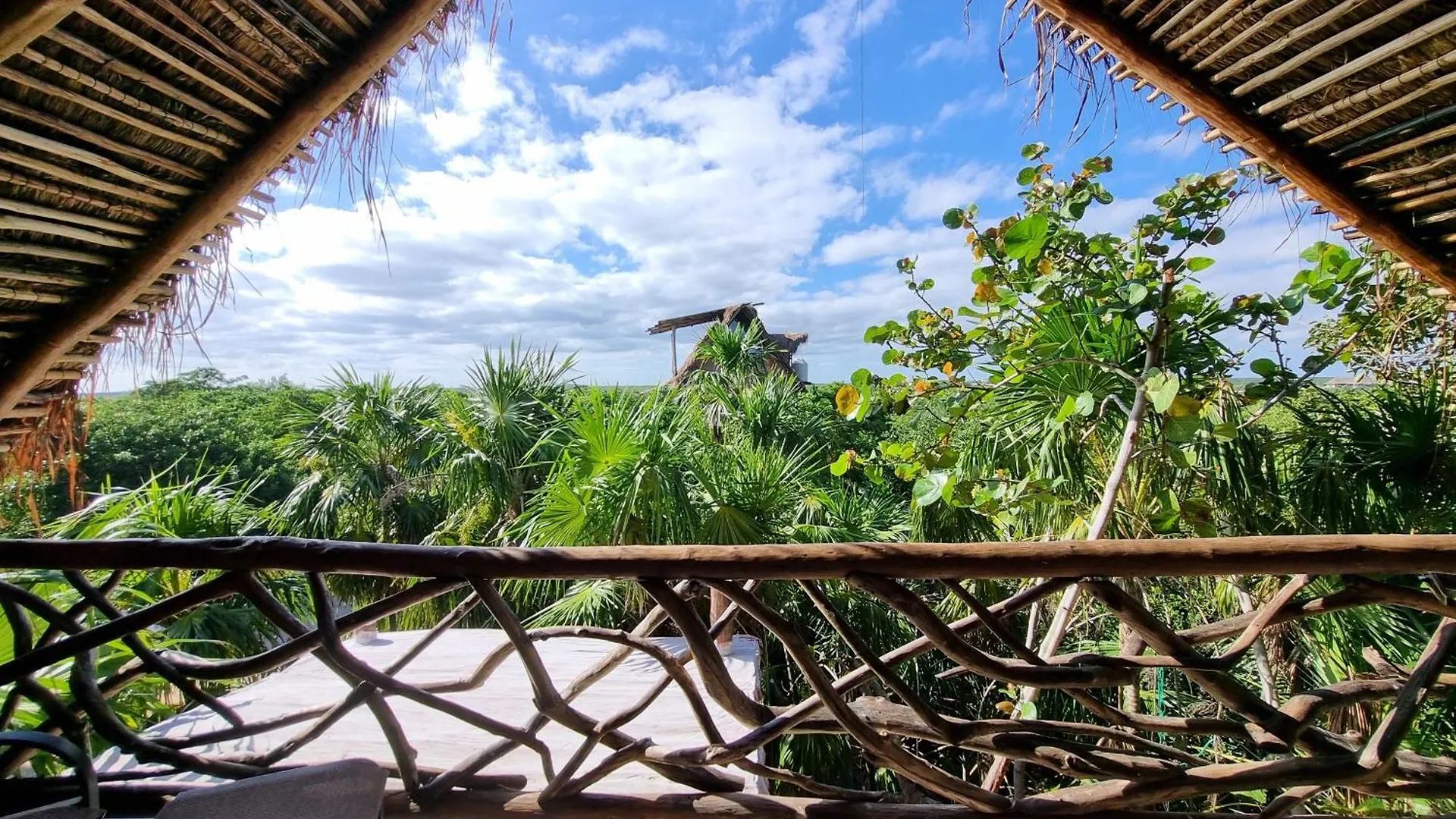 Hippie Chit Jungle House Mexiko